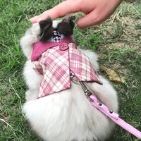 Rabbit Harness & Leash with Necktie