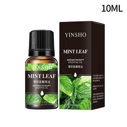 10ml Natural Plant Aroma Essence for DIY Fragrance Creations (S15)