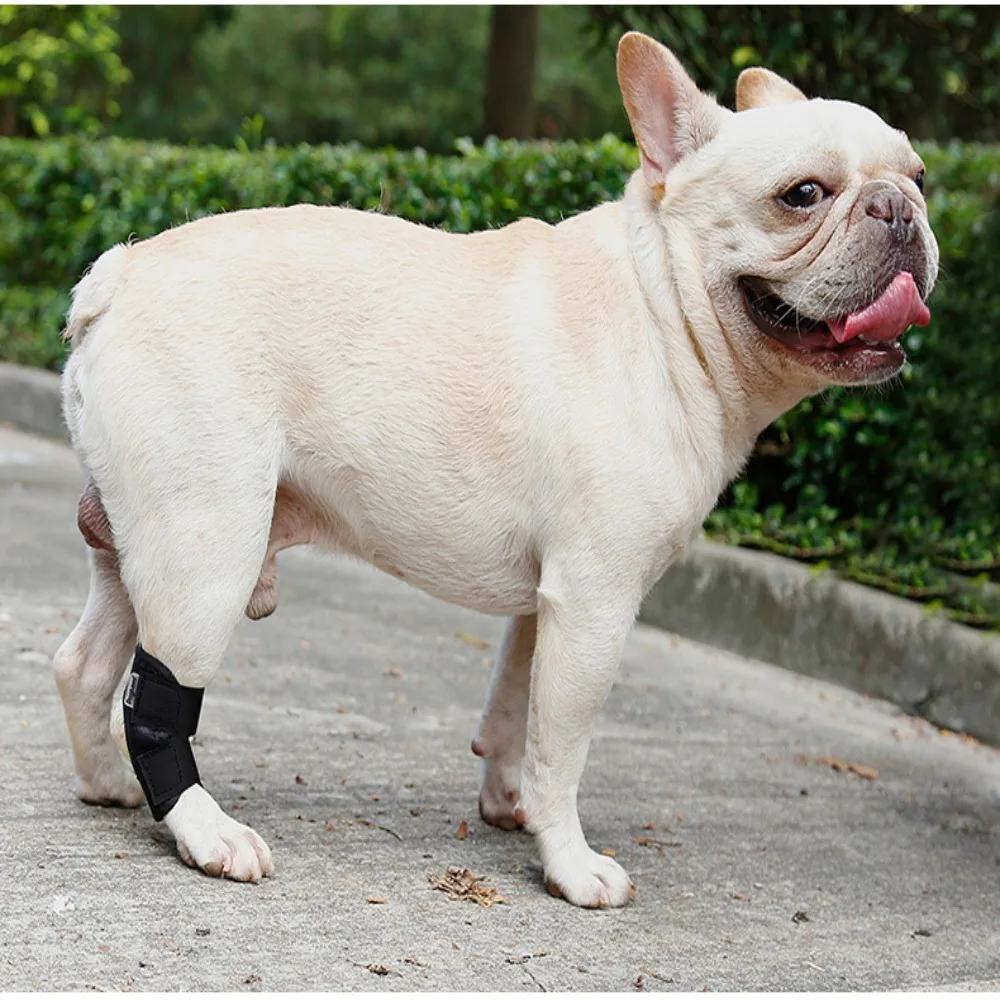 Title 13, Pet Knee Pads Dog Support Brace for Leg Hock Jo...