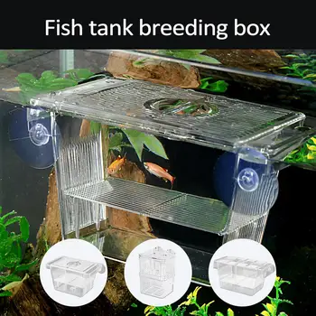 Betta Breeding Isolation Box 1