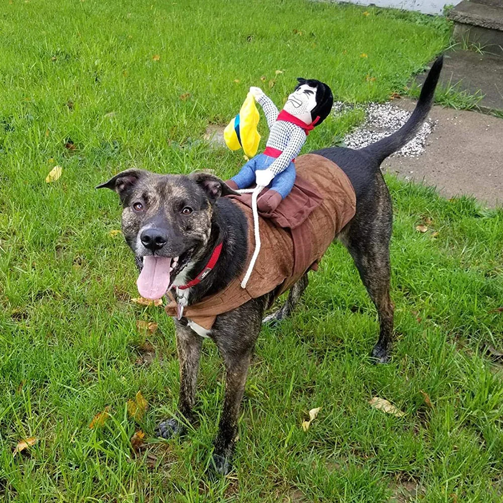 Headless Horseman Dog Costume