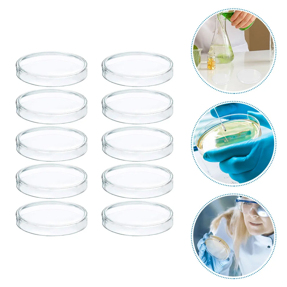 

60mm Disposable Plastic Glass Mushroom Cell Tissue Petri Plates With Lid Laboratory Equipment Culture Dish