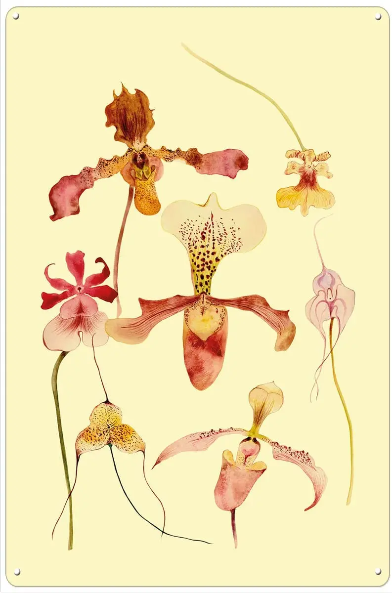 

Ботанический жестяной знак, настенный плакат, плакат для бара, подходящий для мужчин, пещера, бара, кафе, офиса, дома, кухни, гостиной