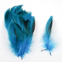 50pcs Mallard Flank Feathers For Fly Tying 5