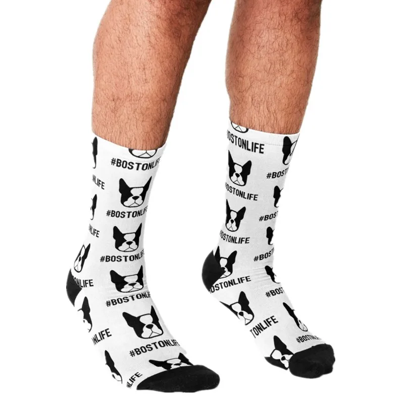 Рисунок 4 - Забавные мужские носки BOSTON TERRIER