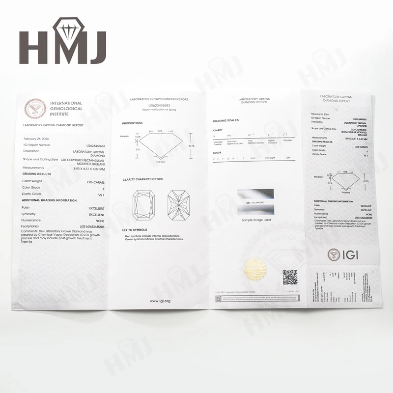3ct Verlobungsring mit Laborgezüchtetem Diamanten DEF-Farbe VS/VVS-Reinheit Kissenförmiger Schliff CVD HPHT Echtes 14K Gold Ultimativer Glanz Brautschmuck – Detail 4