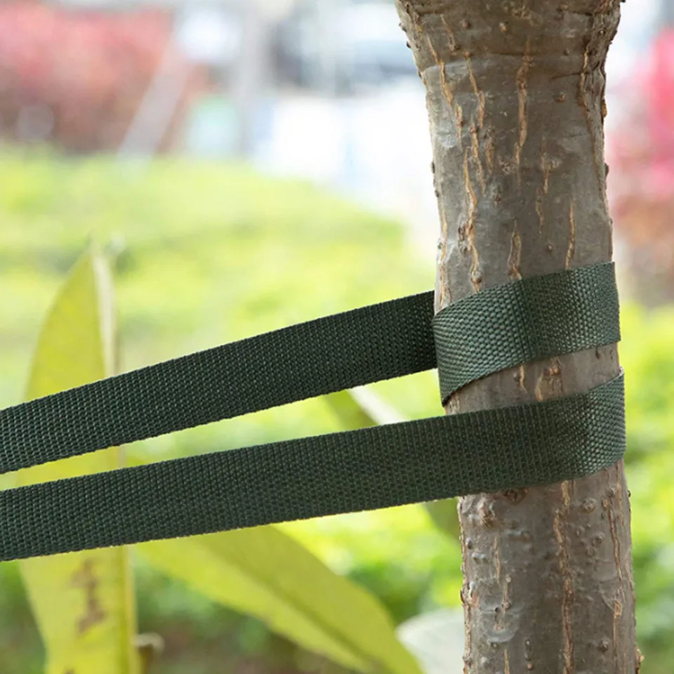 Windhager gancio e anello di fissaggio universale per piante, nastro autoadesivo da giardino con gancio e anello, fascetta per piante, fascetta per alberi, fascetta per cavi, 5m x 1,2 cm, 03223