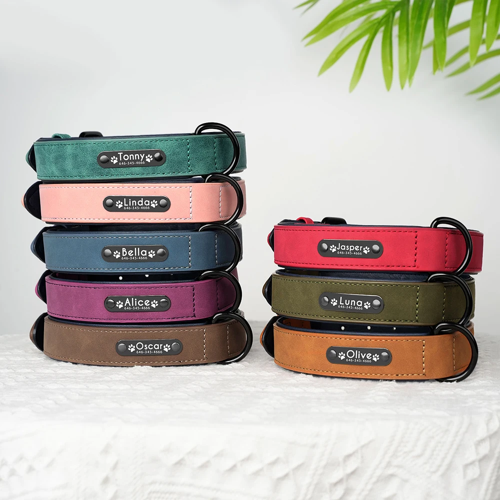 Custom Leather Dog Collar 3