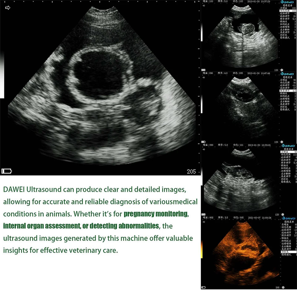 Portable Veterinary Ultrasound Scanner for Animals