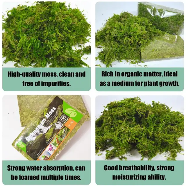 Növényi Sphagnum Moha 150 G Természetes Cserepes Keverék Táplálkozás Szerves Műtrágya Talajnövény Növekedése Diy Virág Edény - Image 4