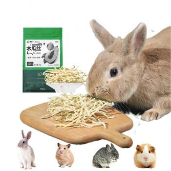 50g de papaya para mascotas, acondicionador del estómago para ayudar a la defecar, semilla de conejo, melón de madera, Chinchillas secas, conejillo de indias, hámster, juguete molar 1