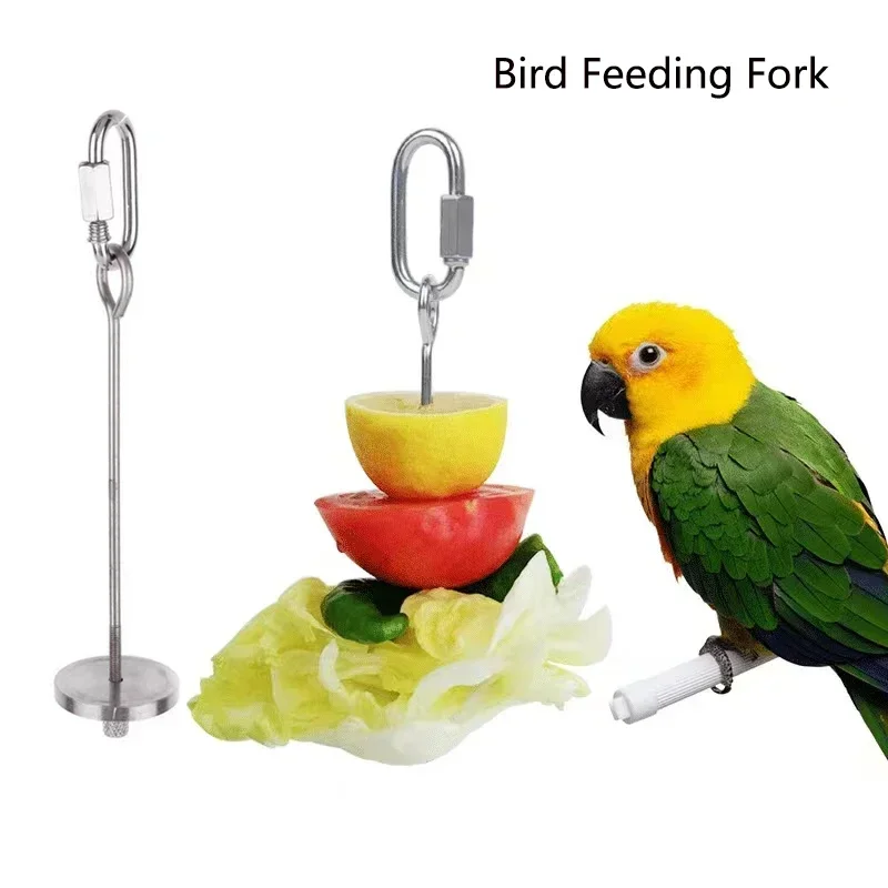Bird Feeder Parrot Feeder Stainless Steel Pet Parrot Feeder Fruit Corn Fork Toys Chicken Vegetables Holder Hang Cage Feeding Stick Feeder Accessories Brid