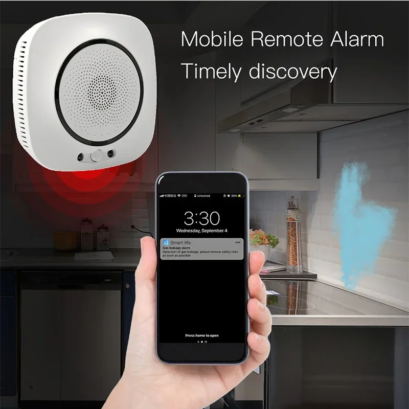 Slide image b1ab8fa44a814209a54676eb3f7b4315