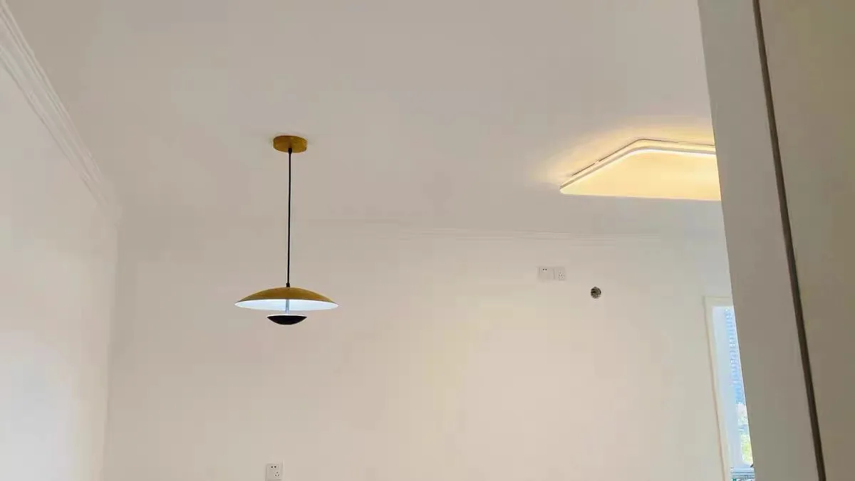 Description Picture 3 of itemCreative Dining Room LED Pendant Light Modern Designer Living Room Ceiling Chandelier Coffee Shop Bar Bedside Decor Pendant Lamp