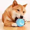 Interactive Rolling Dog Ball Toy Improved Dog Rolling Ball Rechargeable Pet Ball Toy Electric Rolling Ball Improved Dog Rolling 1