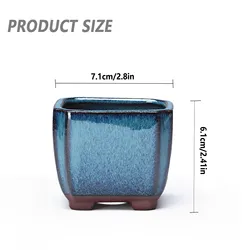 Ceramic Succulent Decorative Flower Vase (As shown)