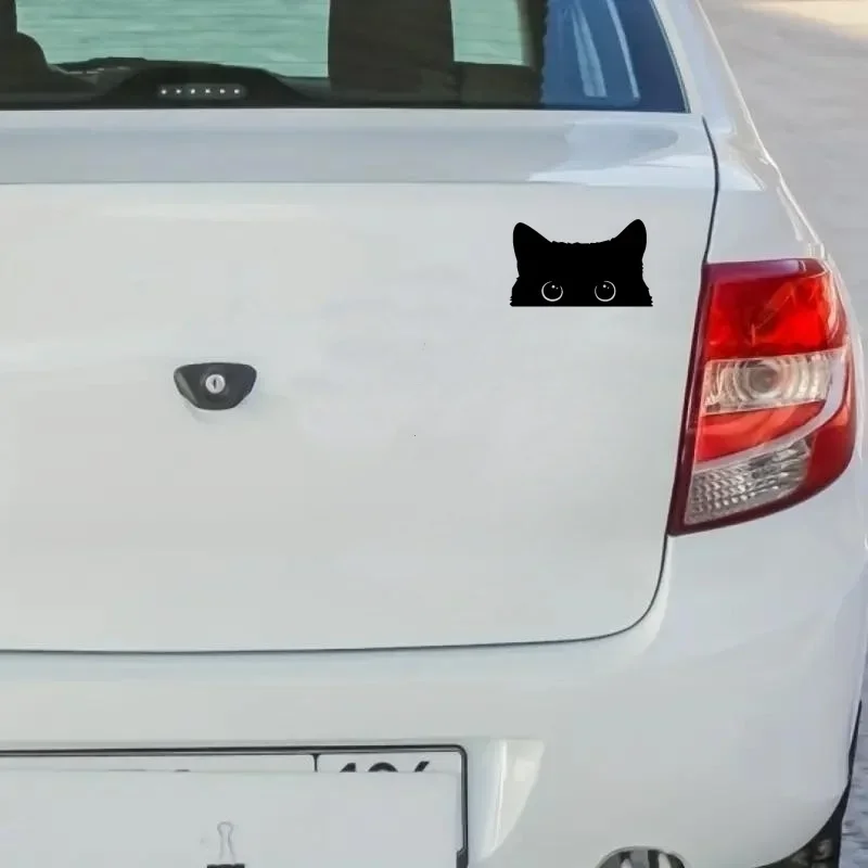 Cute Poor Cat Vinyl Car Sticker 4