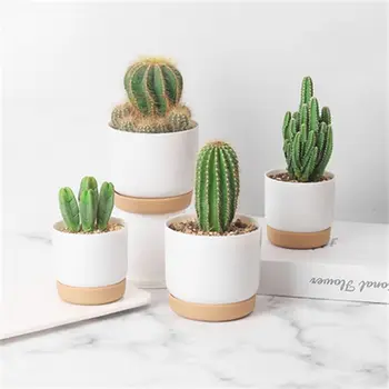 Pot de Fleurs à Absorption d'Eau existent, Rangement Rond, Double Couche, user inière Succulente, Petite Plante Verte 1