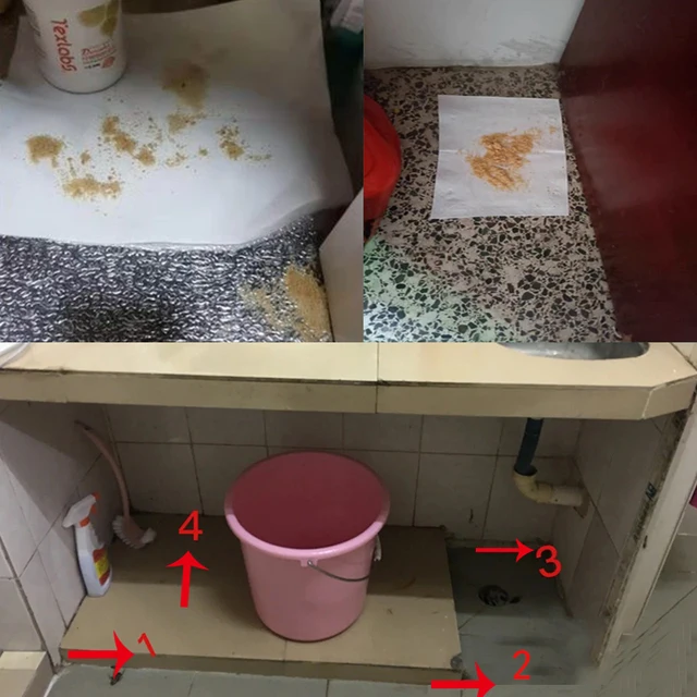 Csótány Csapdába Ejtőes Csócapor A Megölése Kerti Kellékek Szúnyog Csapda Kártevő Biztonságos Taszító - Image 6