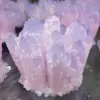 800g New ！！Hot order Beautiful pink Ghost phantom Quartz Crystal Cluster Healing Specimen 1pcs 1
