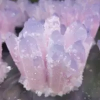 800g New ！！Hot order Beautiful pink Ghost phantom Quartz Crystal Cluster Healing Specimen 1pcs 1
