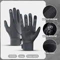 New gray Edition