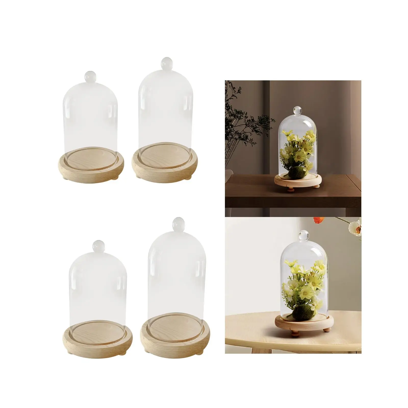 Cloche Glass Dome Display Bell Jar Decorative Multifunctional Rustic Showcase Wood Base Transparent Cover for Artificial Plants glass display dome