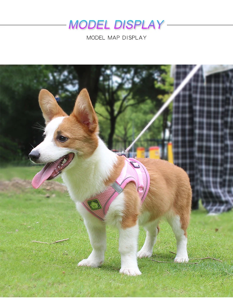 Katzen-Geschirr-Weste, Welpen-Hundehalsband, Corgi, verstellbares Netz-Hundegeschirr, geeignet für kleine und mittelgroße Haustiere, Zubehör – Detail 16