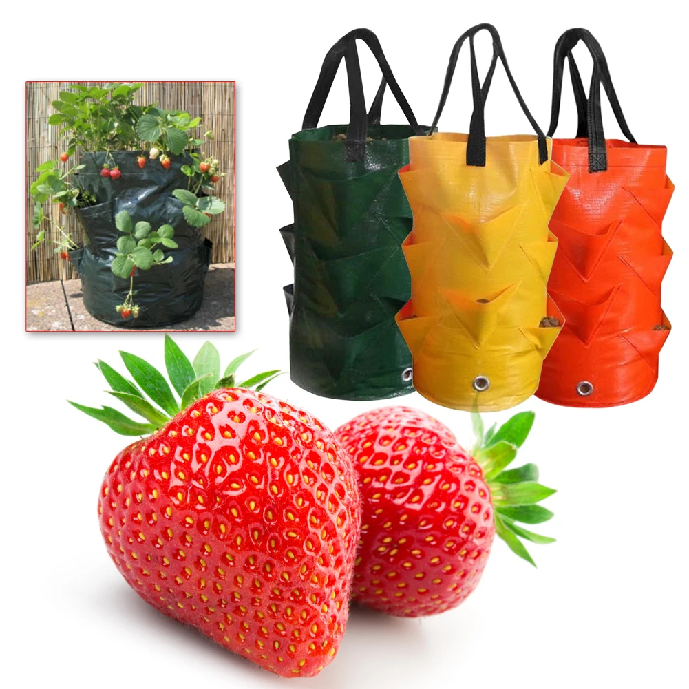 Garden Planting Bags 3 Gallons Strawberry Tomato Carrot Reusable Multi