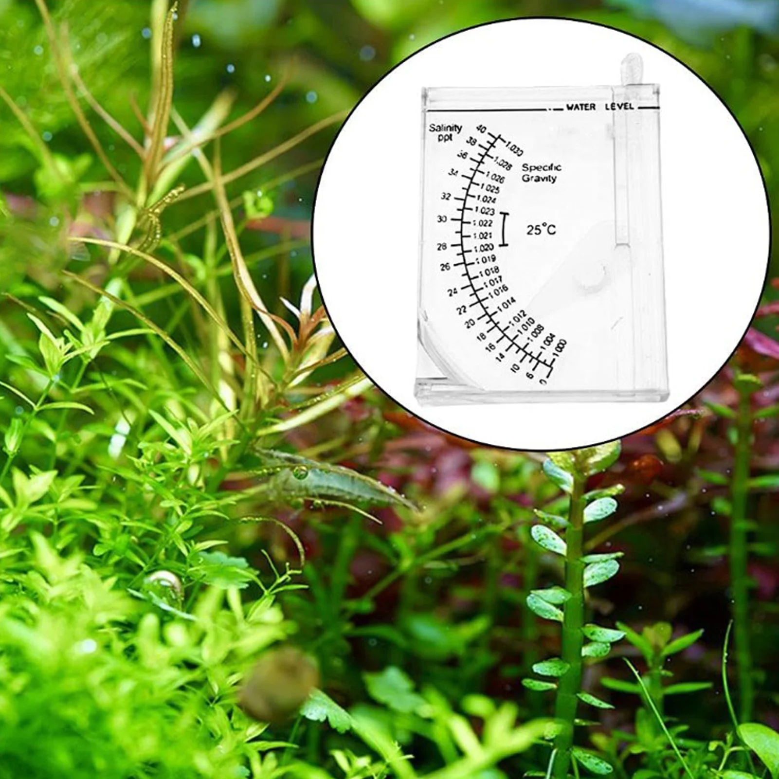 Sea Water Hydrometer Salinity Meter Saltwater Tester Sea Hydrometer Salinity Specific Gravities Test For Aquarium Fish Tank