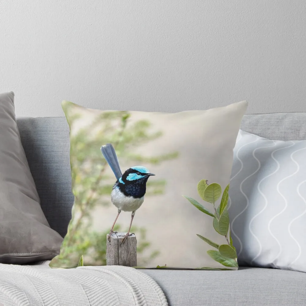 

Male Superb Fairy Wren Throw Pillow Cushions For Decorative Sofa Cusions Cover Sofa Cover Pillowcases Bed Cushions