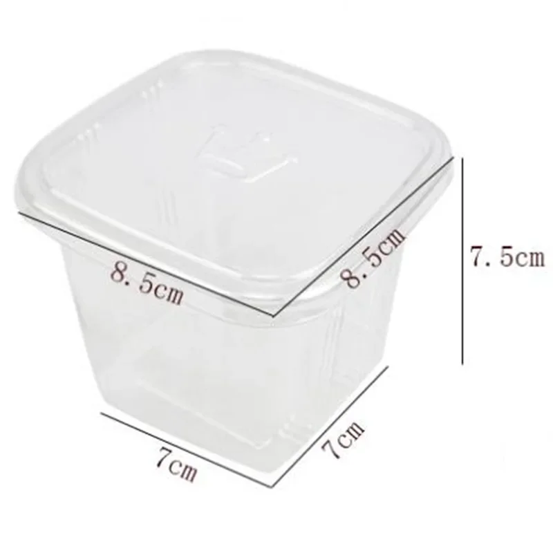 50 Sets Clear PET Cupcake Boxes 400ml / 300ml Disposable Dessert Containers Square Plas... - SKU CPCB1546 - UGI Packaging