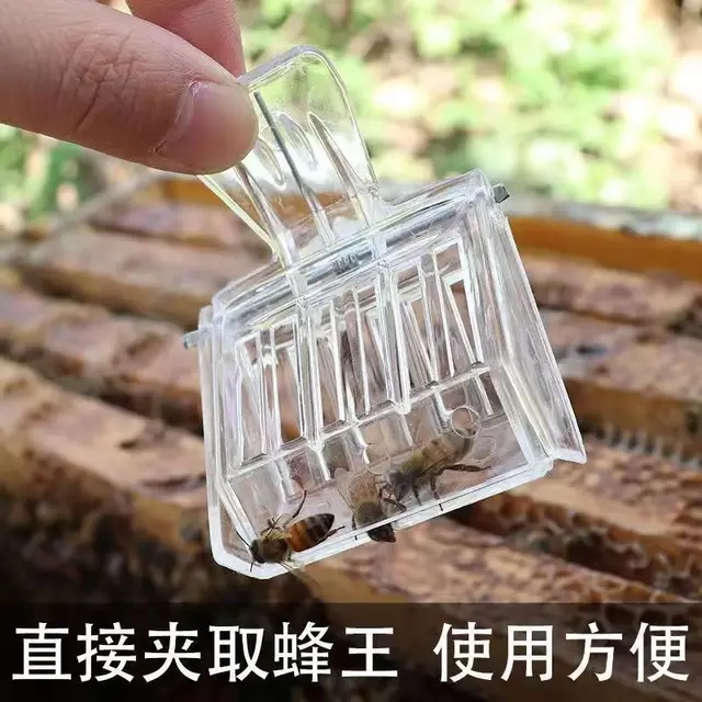 5 db Műanyag Queen Ketrec Clip Méh Fogó Méhész Felszerelés Méhészeti Eszközök Új - Image 6