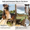 Horse Tie Ring Stainless Steel Horse Accessories Horse Training Equipment Prevent Horses From Pulling Back 6