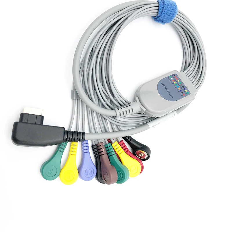 DMS 300-4a, Holter ecg 케이블, 10 리드와 호환 가능