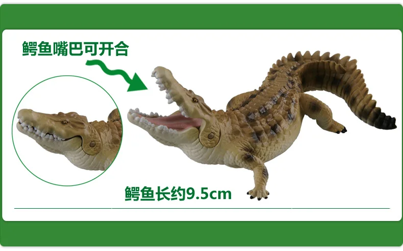 TAKARA TOMY Crocodile Toy Wild Animal Simulation of Crocodylus