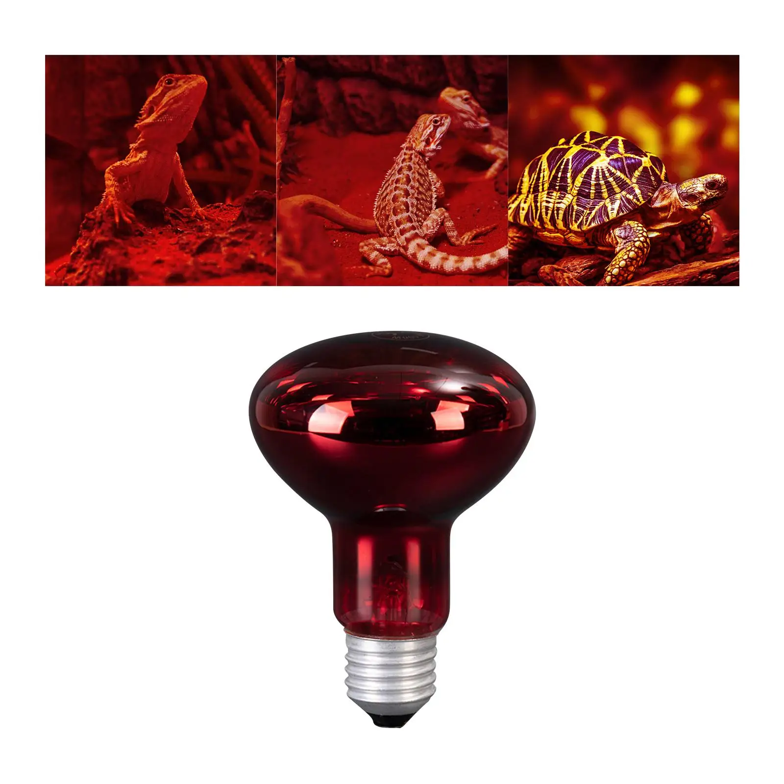 Reptile Heating Lamp 100W E27 Holder Habitat Heater Source Pet Heat