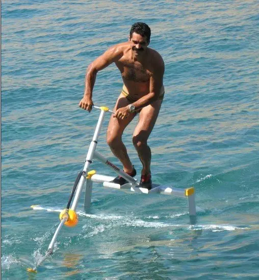 

Floating on Water Waterbird Self-Propelled Hydrofoil Water Bike