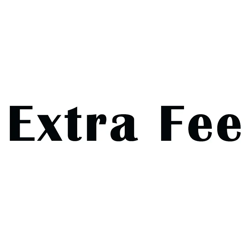 

Extra fee Payment Link (3)