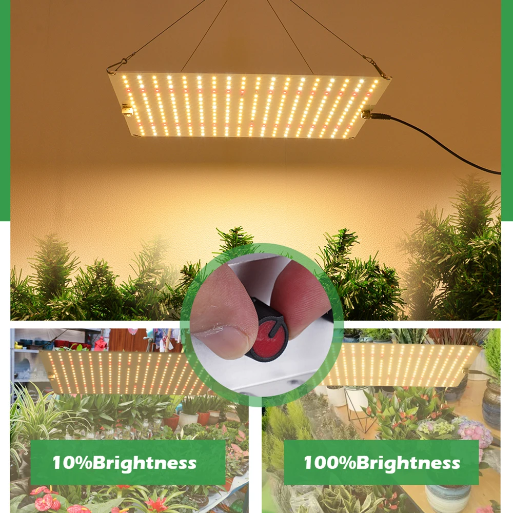 Hot Sell 1200WMAX Dimmable Ultra-thin Full Spectrum LED Aluminum Growing Light Grow Lamp for Greenhouse Plant Grow Lighting NP