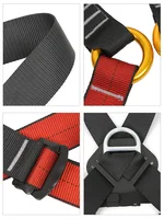 Kid's Full Body Rock Climbing Safety Harness