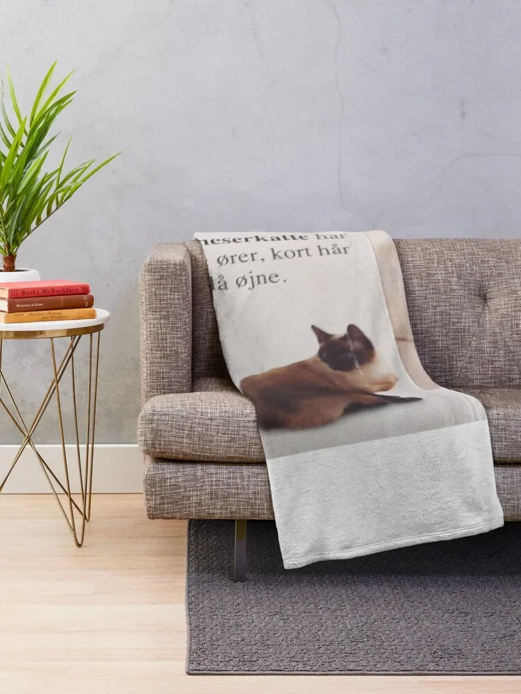 �� ������. �ε巯�� ������ ���, ū ���� ħ�� ��� ���� ���