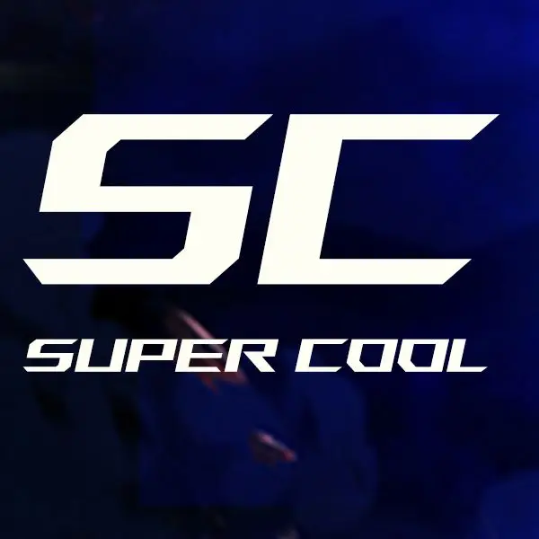 Super Cool Anime Figure Store