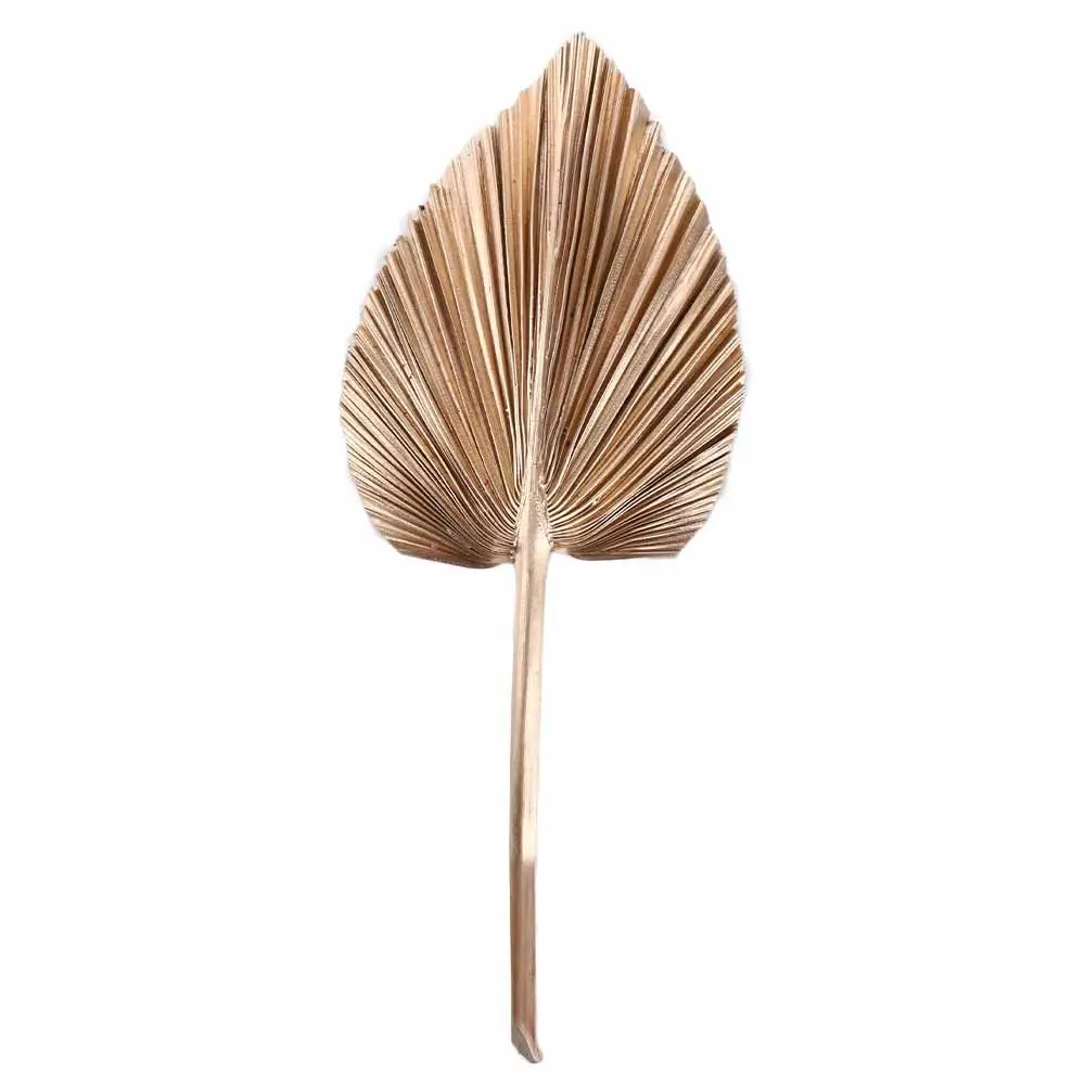 Description Picture 6 of item1 Pcs Bohemian Tropical Fan Leaf Colorful Palm Spears Dried Plant DIY Natural Trimmed Party Decoration Leaves