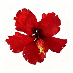 Bohemian Style Hibiscus Flower Hair Clip - Gentle Hold Hair Accessory (1)