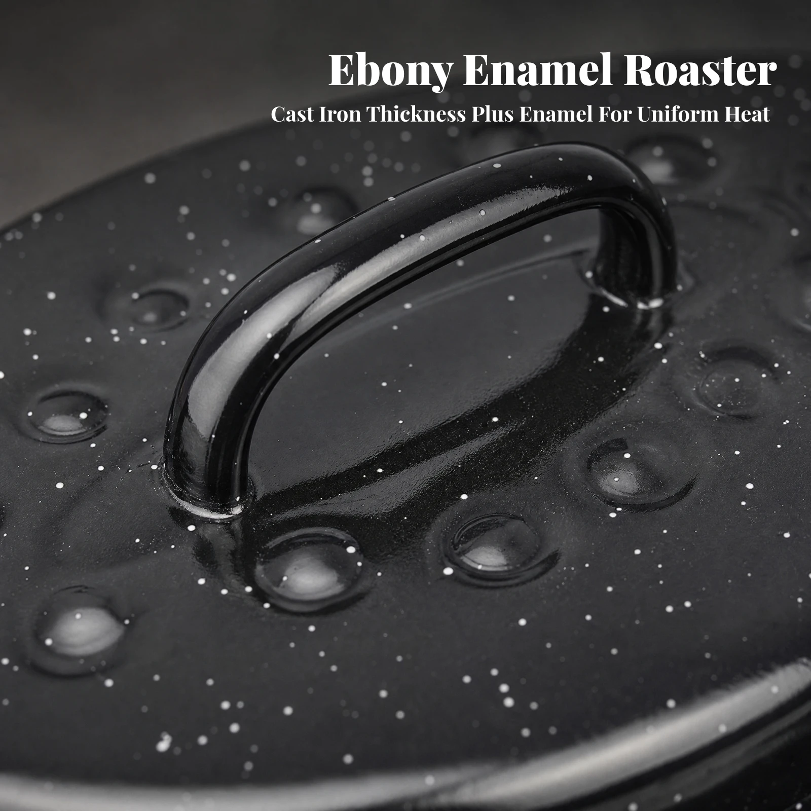 VOval Enameled Cast Iron Roaster 1