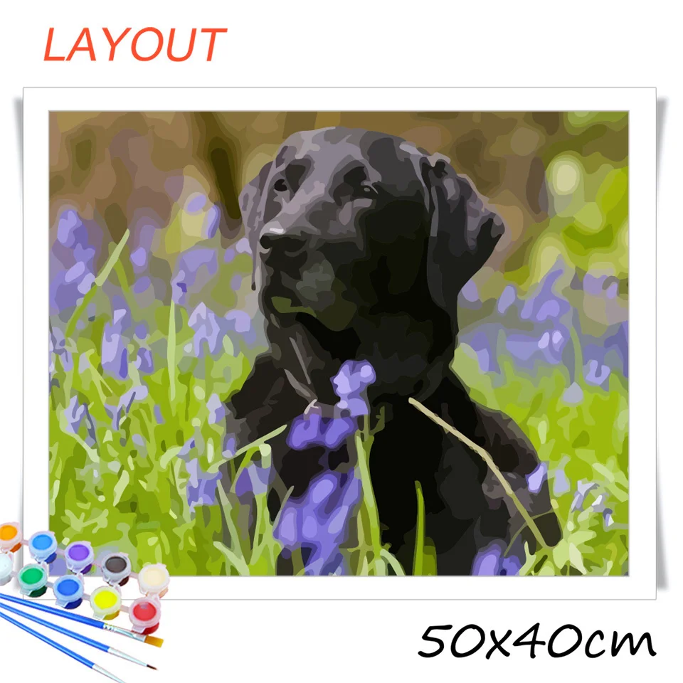 4587.jpg_.webp 4587.jpg_.webp