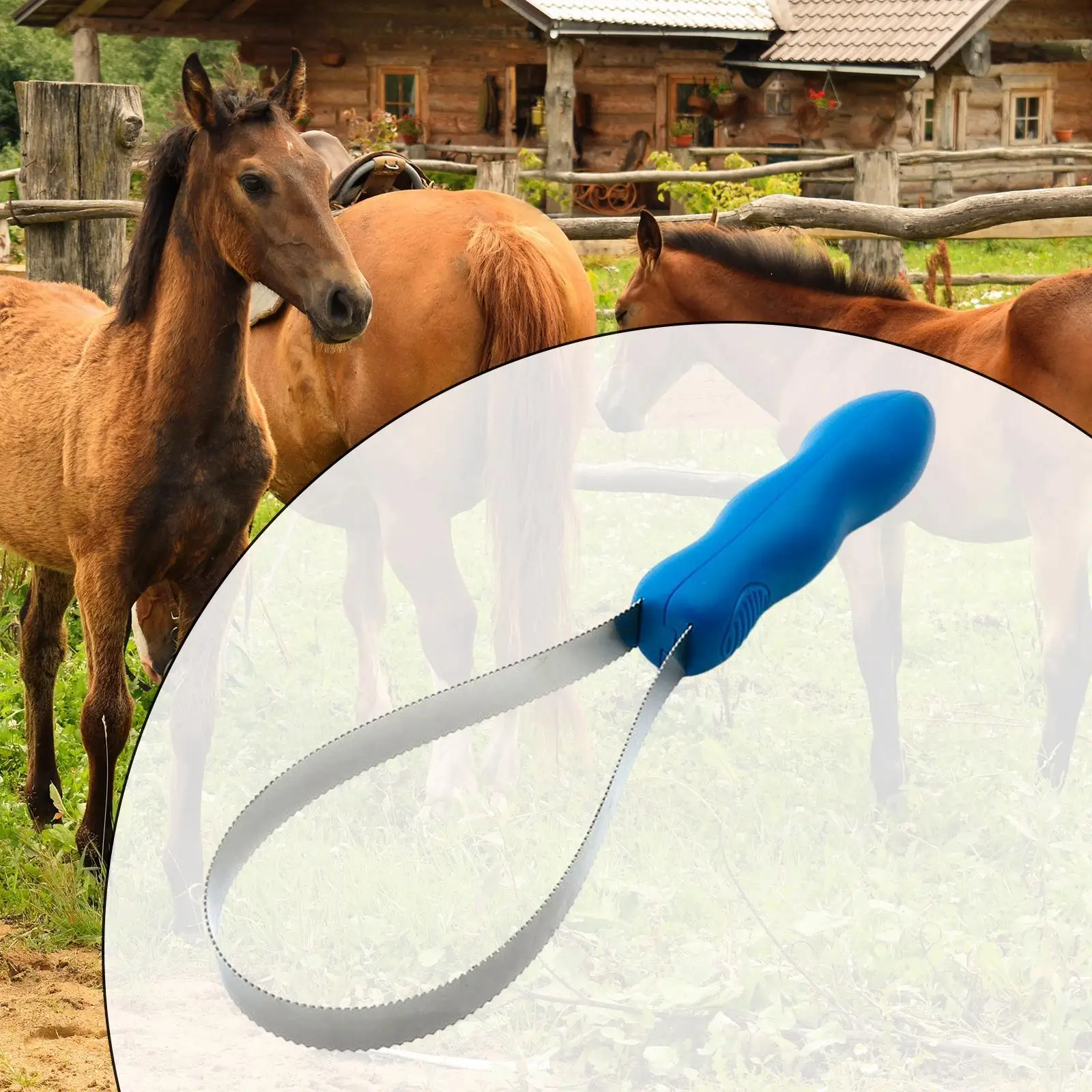 Equestrian Brush Scraper Durable Horse Hair Comb for Cattle Animal Cleaning