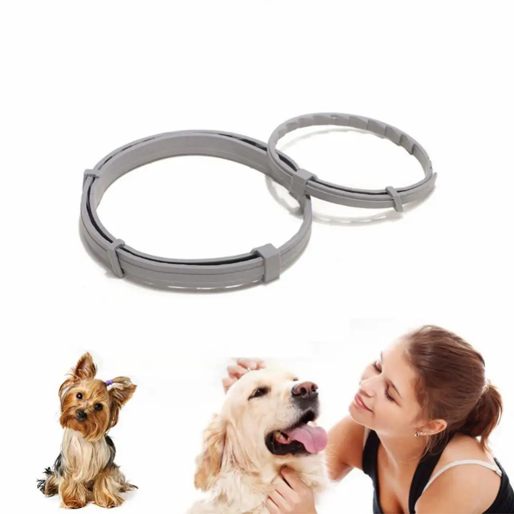 Pet Insect Collar For Dogs Cats Up To 8 Month Prevention Adjustable