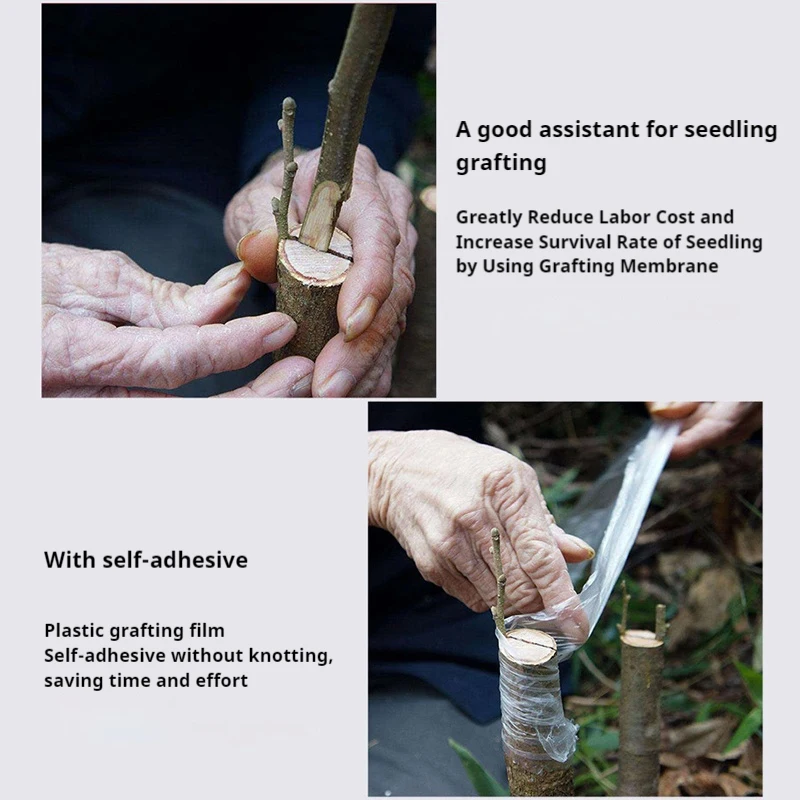 Grafting Tape Film PE Grafting Self-adhesive Garden Seedling Vine Transparent Nursery Plant Tape Plant Accessories 2/3/4/5cm For Grafting Tape